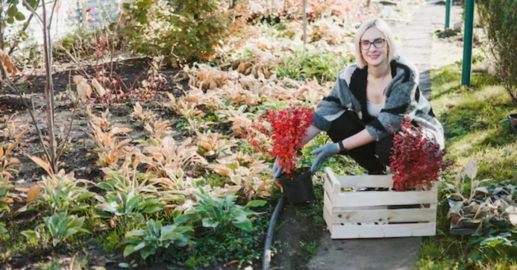 How to Fill a Raised Garden Bed