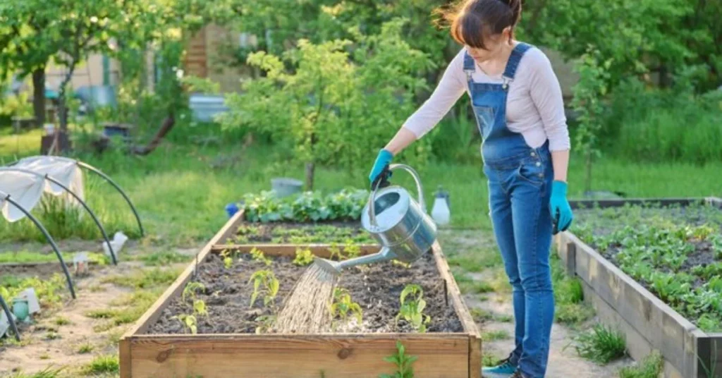 How to Fill a Raised Garden Bed