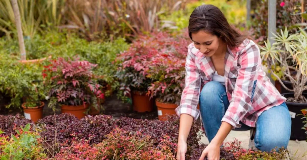 What Is Considered Early Summer for Gardening