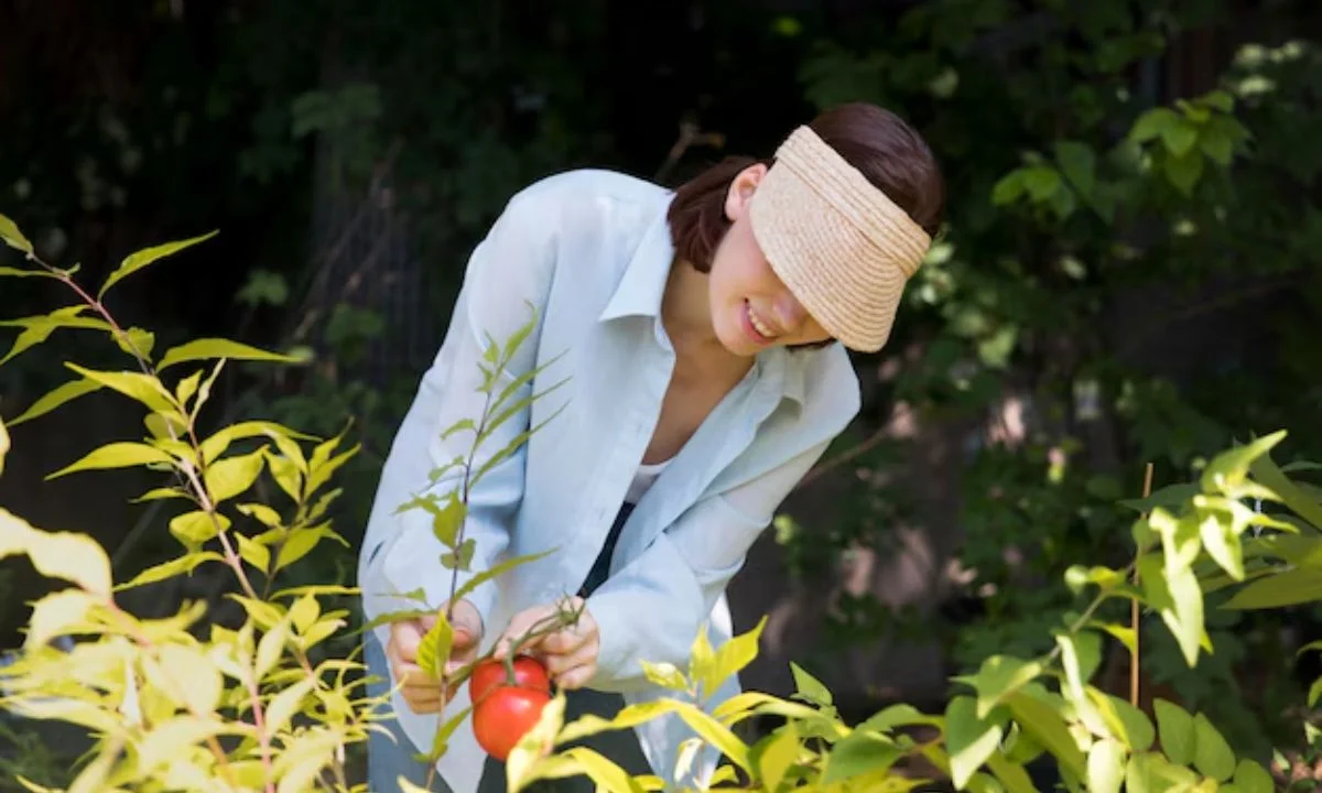 What Is Considered Early Summer for Gardening